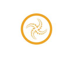 Agricoltura grano Logo Template vettoriale icona design app