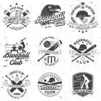 set di distintivi per club di cricket e baseball. vettore. concetto per camicia, stampa, francobollo o t-shirt. modelli per club sportivo. vettore