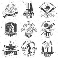 set di distintivi del club di cricket. vettore. concetto per camicia, stampa, francobollo o t-shirt. modelli per club sportivo. vettore