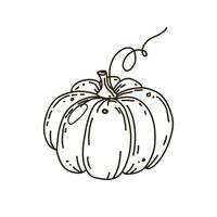 illustrazione vettoriale di zucca contorno icona doodle isolato su sfondo bianco.