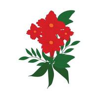 illustrazione vettoriale di cartolina di Natale con fiore poinsettia, rami di abete