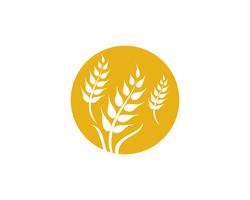 Vettore di grano agricoltura