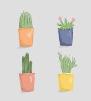 set vettoriale di cactus in vasi colorati.