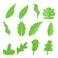 set di foglie verdi vettore