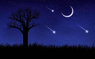 cielo notturno e illustrazione dell'albero vettore