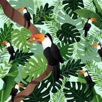 L&#39;immagine tropicale delle foglie di palma della bandiera dell&#39;estate di vettore di uccelli.