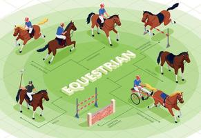 diagramma di flusso dello sport equestre vettore