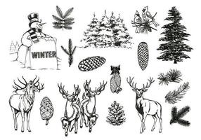 Foresta naturale e pacchetto di vettore di inverno