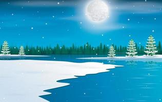 sfondo del paese delle meraviglie invernale con cielo notturno stellato vettore