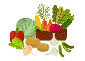 raccolto. natura morta di verdure fresche. cavolo cappuccio, peperone, sbattuto, patata, aglio, piselli, cipolla, mais, carota, rapa, zucchine. vettore