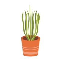 una pianta verde con foglie lunghe in un vaso arancione. l'illustrazione vettoriale è isolata. clipart per design, arredamento