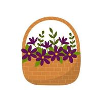 cesto di vimini con fiori viola. stile piatto. vettore