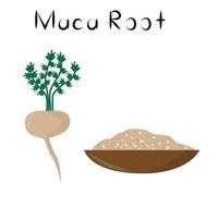 radice di maca. prodotto naturale disintossicante sano. integratore alimentare biologico vegetale. superfood, radice dell'omeopatia. fumetto illustrazione vettoriale