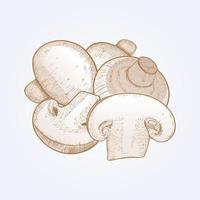 disegno funghi champignon vettore