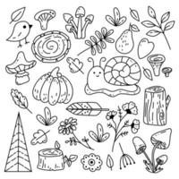 set di elementi di design della foresta autunnale in stile doodle disegnato a mano. collezione di animali e oggetti naturali in stile vintage. vettore
