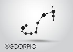 Zodiacale su sfondo grigio. vettore