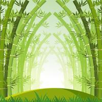 Scena di sfondo con la foresta di bambù verde vettore