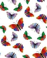 senza cuciture con farfalle colorate. farfalla adatta per tende, carta da parati, tessuti, carta da imballaggio. disegno vettoriale per stampe di moda, poster e carte, isolato su sfondo bianco