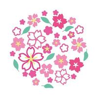 fiore di ciliegio sakura vettore