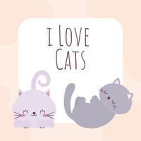cartello dei gatti carini