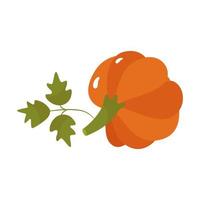 zucca arancione con foglie verdi, distintivo, adesivo. illustrazione vettoriale sul tema dell'autunno e halloween. isolato.