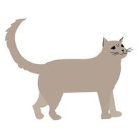 icona del vettore del gatto che cammina. segno di stile lineare per concept mobile e web design. illustrazione di logo di simbolo di animali domestici. grafica vettoriale - vettore.