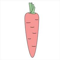 illustrazione di riserva di vettore di carota. un singolo oggetto in primo piano. una verdura. Isolato su uno sfondo bianco.