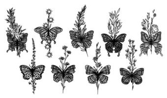 set di arte del tatuaggio farfalla schizzo in bianco e nero vettore
