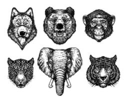 lupo orso scimmia tigre e elefante disegno a mano e schizzo in bianco e nero vettore