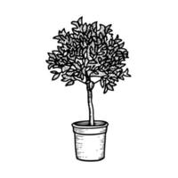 schizzo monocromatico di arancio o ficus benjamin che cresce in vaso. pianta in vaso disegnata a mano. illustrazione in bianco e nero. vettore