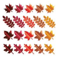 set di foglie autunnali colorate vettore