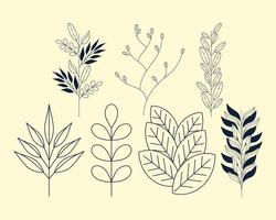 sette rami e foglie di alloro vettore