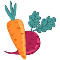 illustrazione isolata luminosa di vettore della carota e della barbabietola.