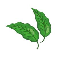 foglie verdi della natura vettore