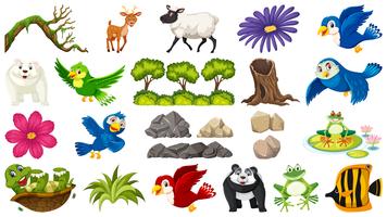 Set di animali e piante vettore