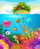Animali marini che nuotano sotto il mare vettore