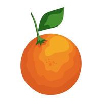 frutta fresca all'arancia vettore
