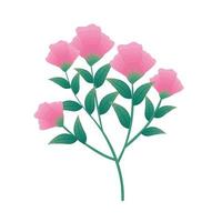 fiori rosa con rami vettore