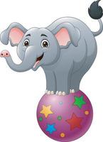 cartone animato circo elefante in equilibrio sulla palla vettore