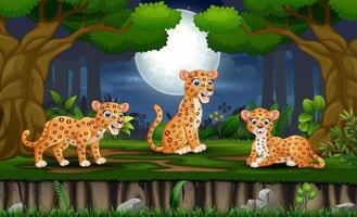 cartone animato tre leopardo godendo nella foresta di notte vettore