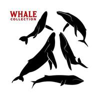set vettoriale di silhouette di cachalot di narvalo di sperma di balena gigante