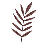 icona di foglie di ramo vettore