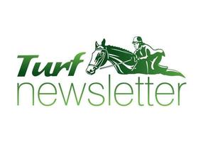 Logo Newsletter Turf vettore