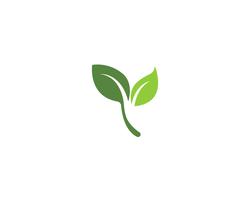 icone di vettore di foglia verde ecologia natura elemento