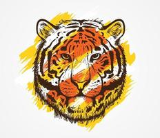 illustrazione disegnata a mano di vettore della testa della tigre