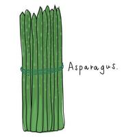 asparagi su sfondo bianco. vettore vegetale disegnato a mano. illustrazione del libro. vettore vegetale per la decorazione. verdure dei cartoni animati.