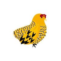 illustrazione di riserva di vettore di pollo. l'uccello gallina gialla. un animale domestico in fattoria. Isolato su uno sfondo bianco.