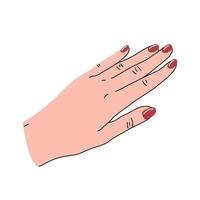 mano femminile raddrizzata con manicure rossa in stile piatto cartone animato. illustrazione vettoriale isolato su sfondo bianco.