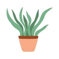 pianta d'appartamento in vaso. carina pianta d'appartamento in vaso. bella pianta con foglie verdi. illustrazione vettoriale in stile disegnato a mano.
