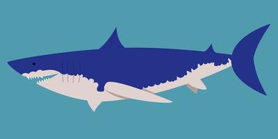 illustrazione vettoriale di uno squalo in uno stile piatto isolato